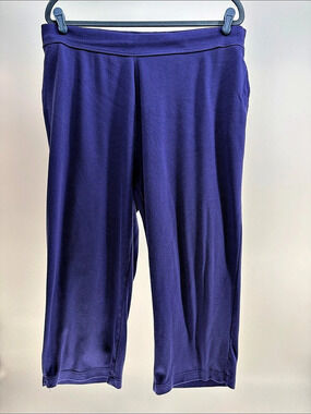 Falls Creek Purple Capris Size 1X